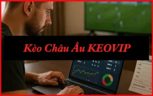 Kèo Châu Âu 1X2: 5 Điều Cần Biết Trước Khi Đặt Cược