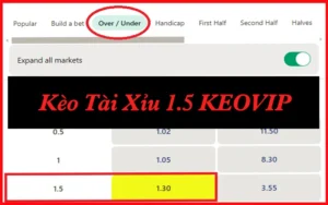 Kèo Tài Xỉu 1.5 Là Gì? 3 Mẹo Tăng Tỷ Lệ Thắng 2025